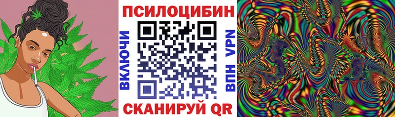 Псилоцибиновые грибы Cubensis  даркнет телеграм  Новоржев 