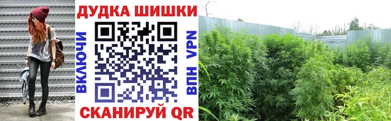 OMG как войти  Новоржев  Шишки марихуана VHQ  наркотики 